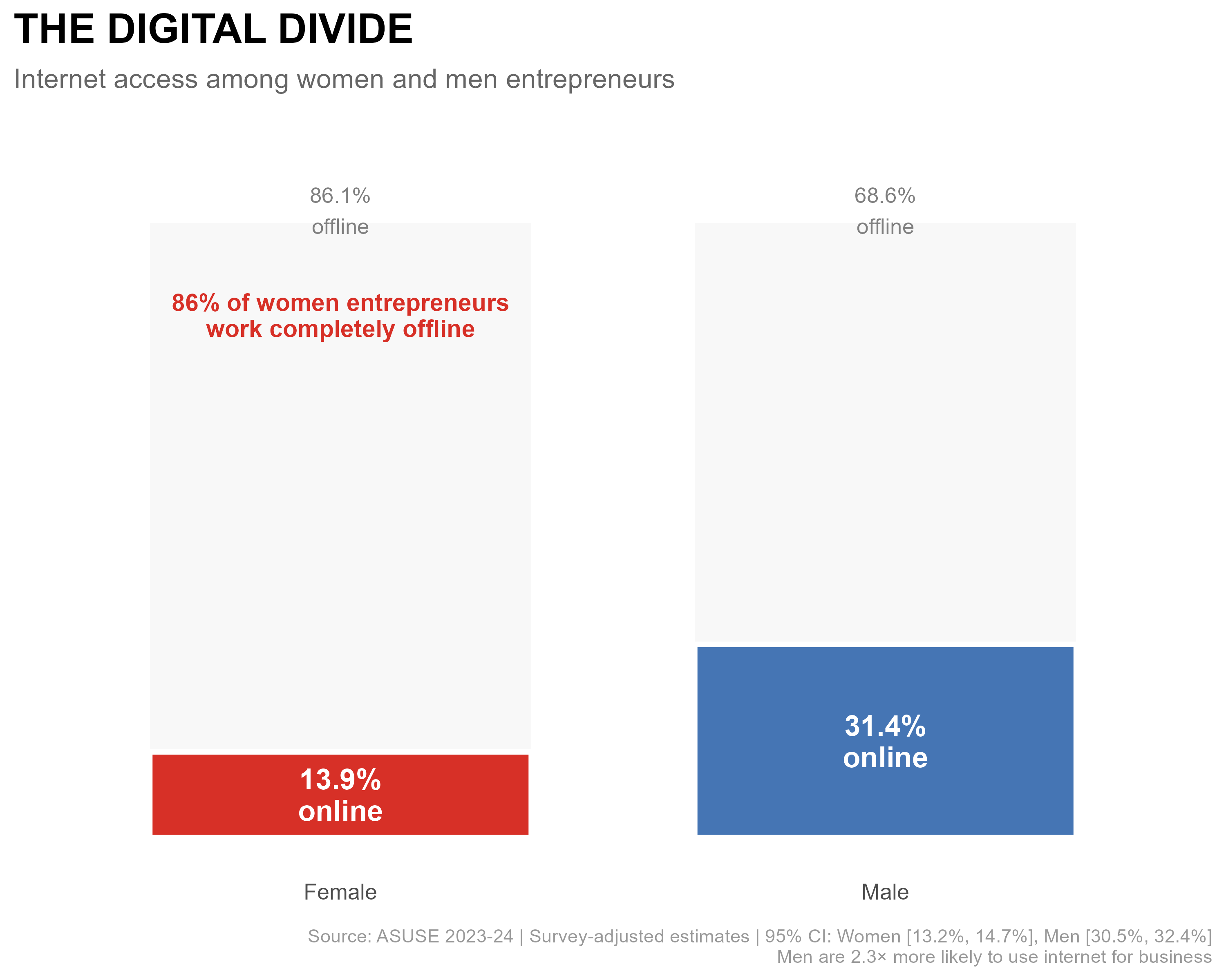 The Digital Divide